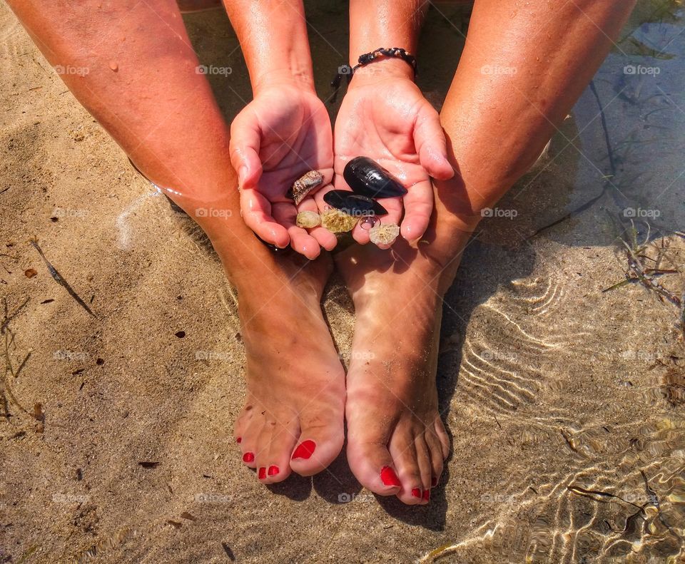 Collecting shells...