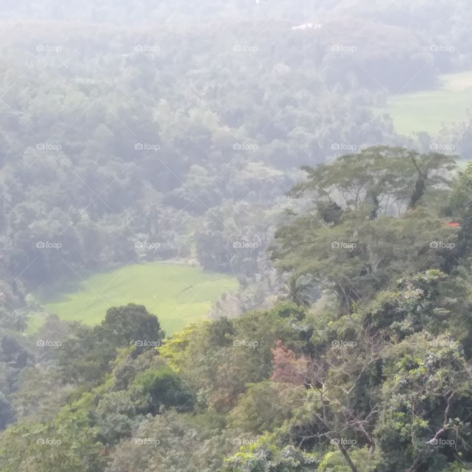 kadugannawa srilanka