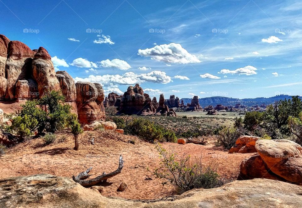 Needles District in Canyonlands National Park.