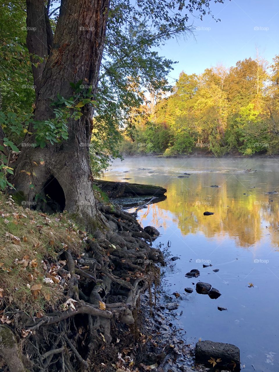 Foggy river