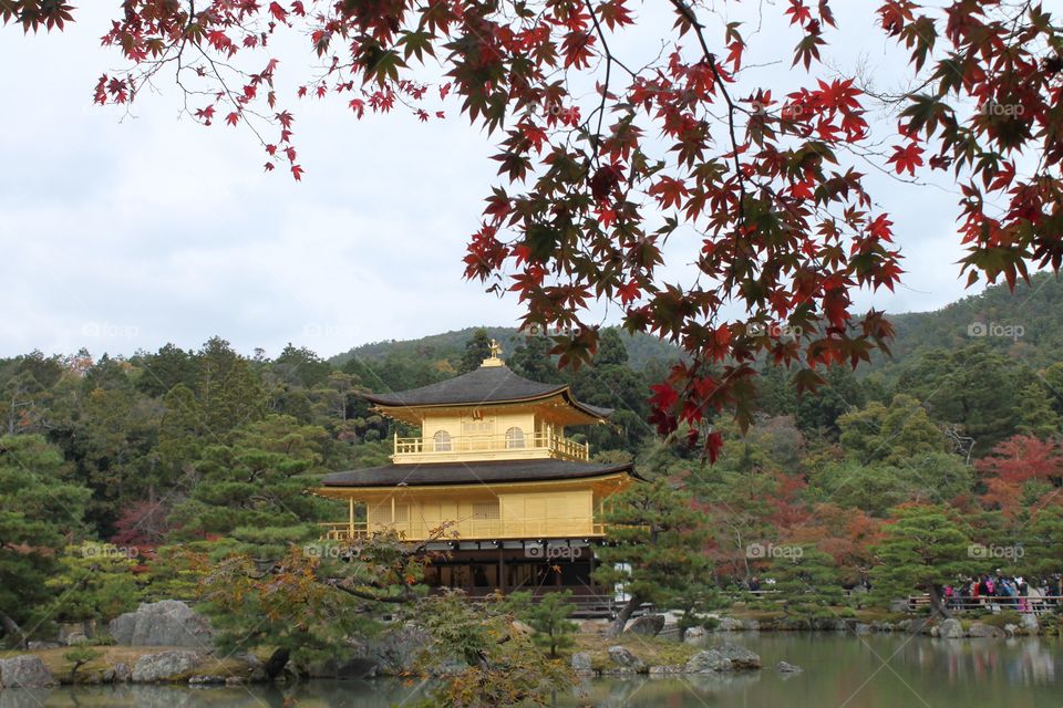 Kinkakuji (Golden Temple) Kyoto, Japan