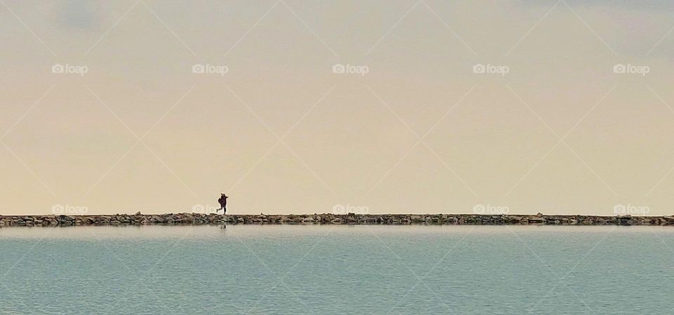 Running on the marsh