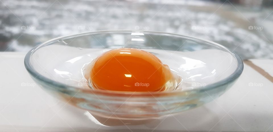 egg