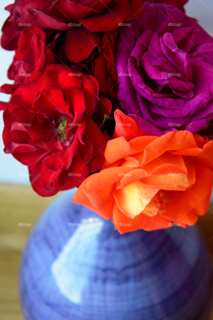 Beautiful colored roses in a vase close up
