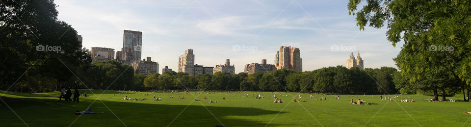 Summer time in central park New York