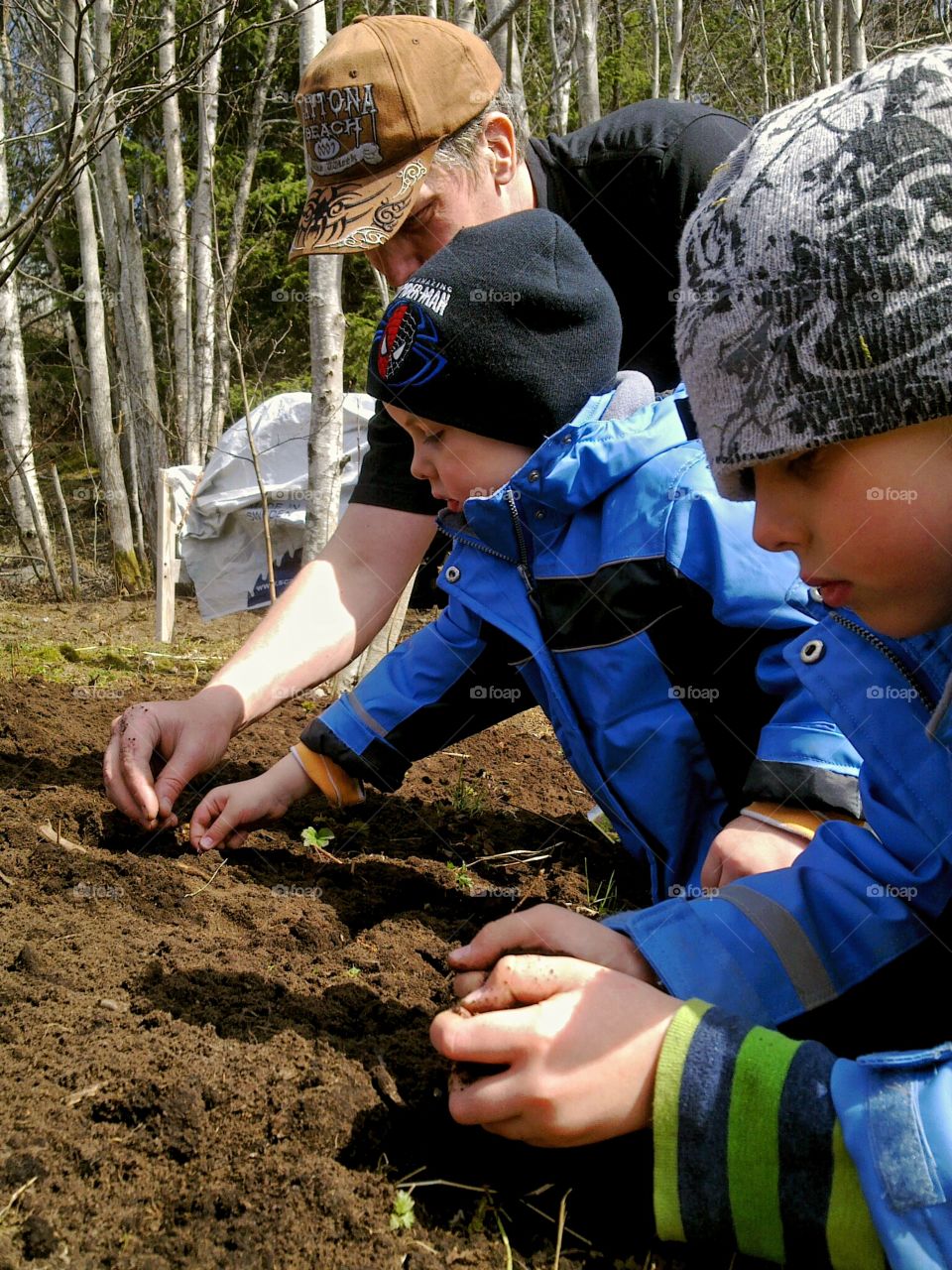 Planting with dad!. Small hands are planting for the summer!