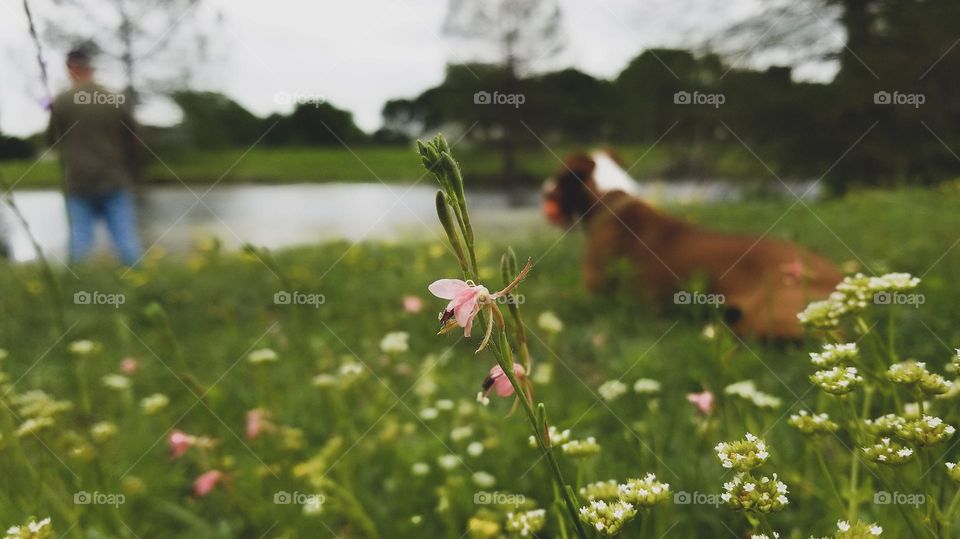 Peaceful Moment from the Ground Up