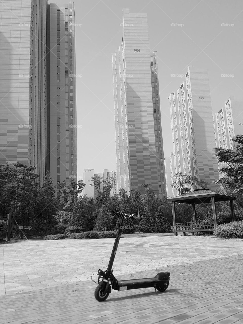 moments in black & white