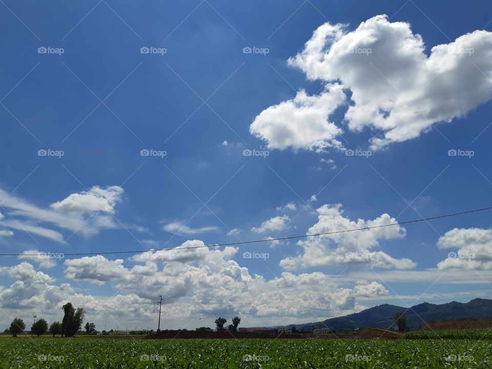 clouds in the blue sky
