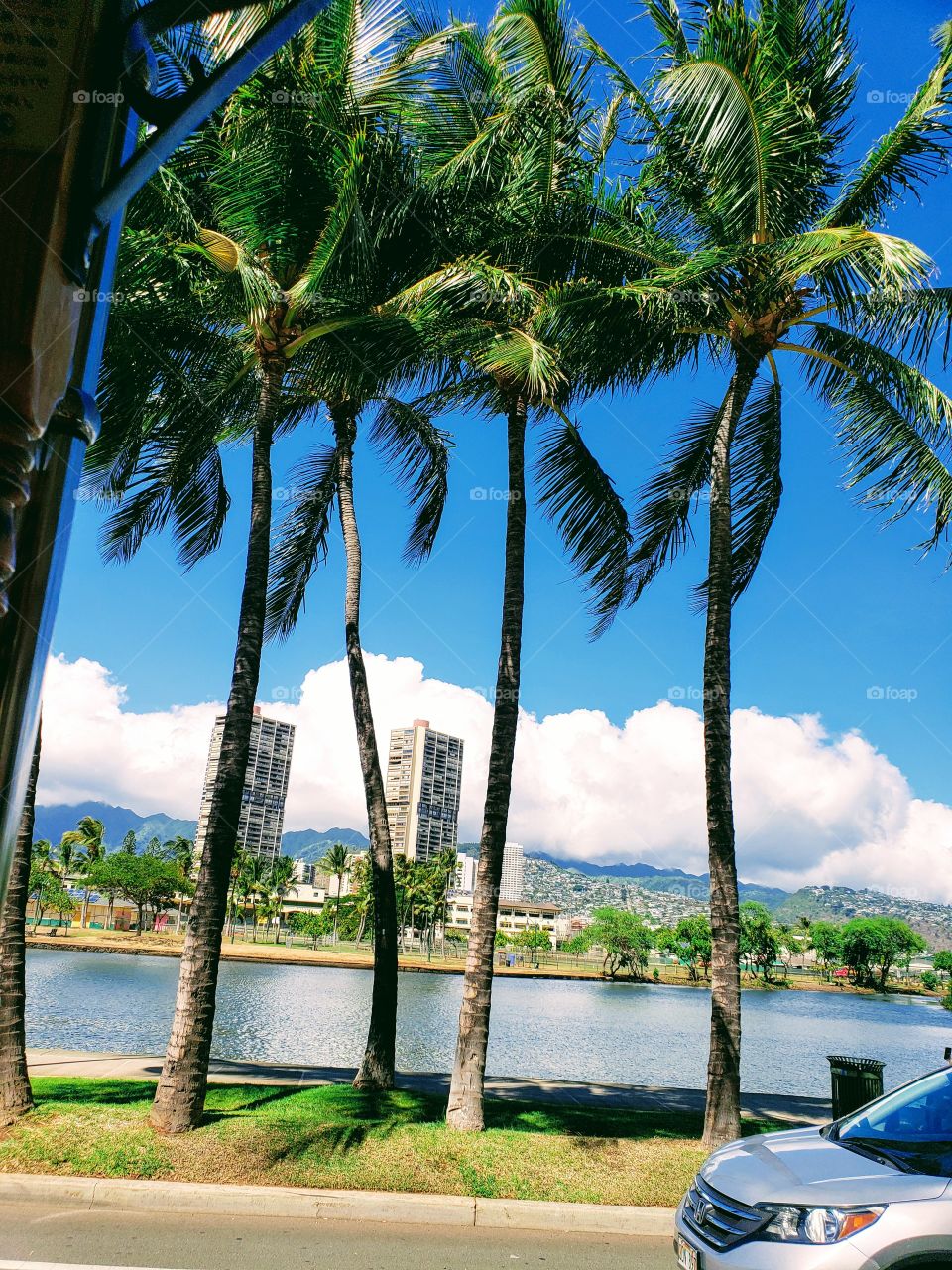 Hawaii Ala Wai Canal