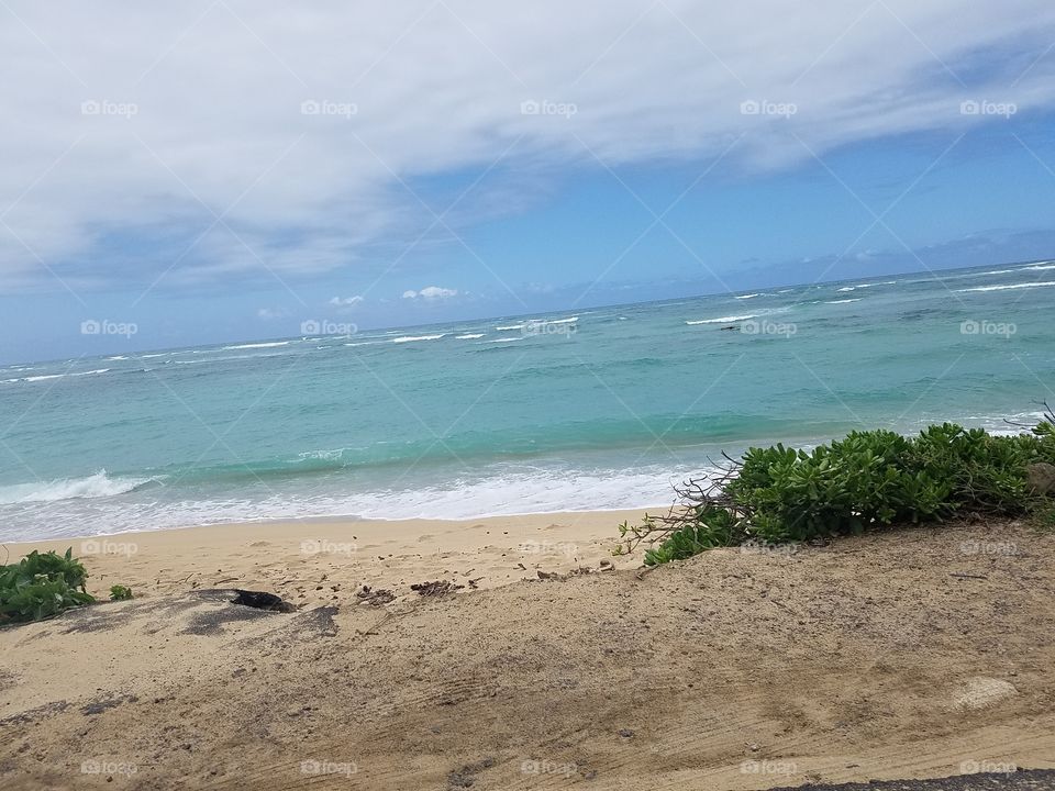 Magic moments in the making