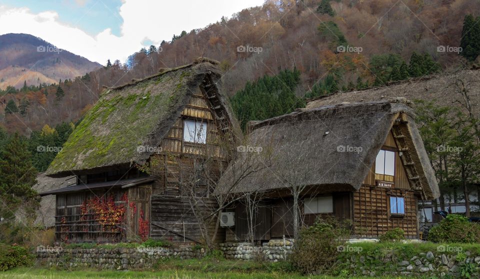 village in japan