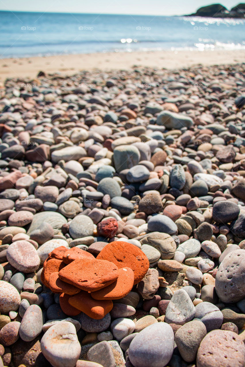 Close-up of pebble at beach