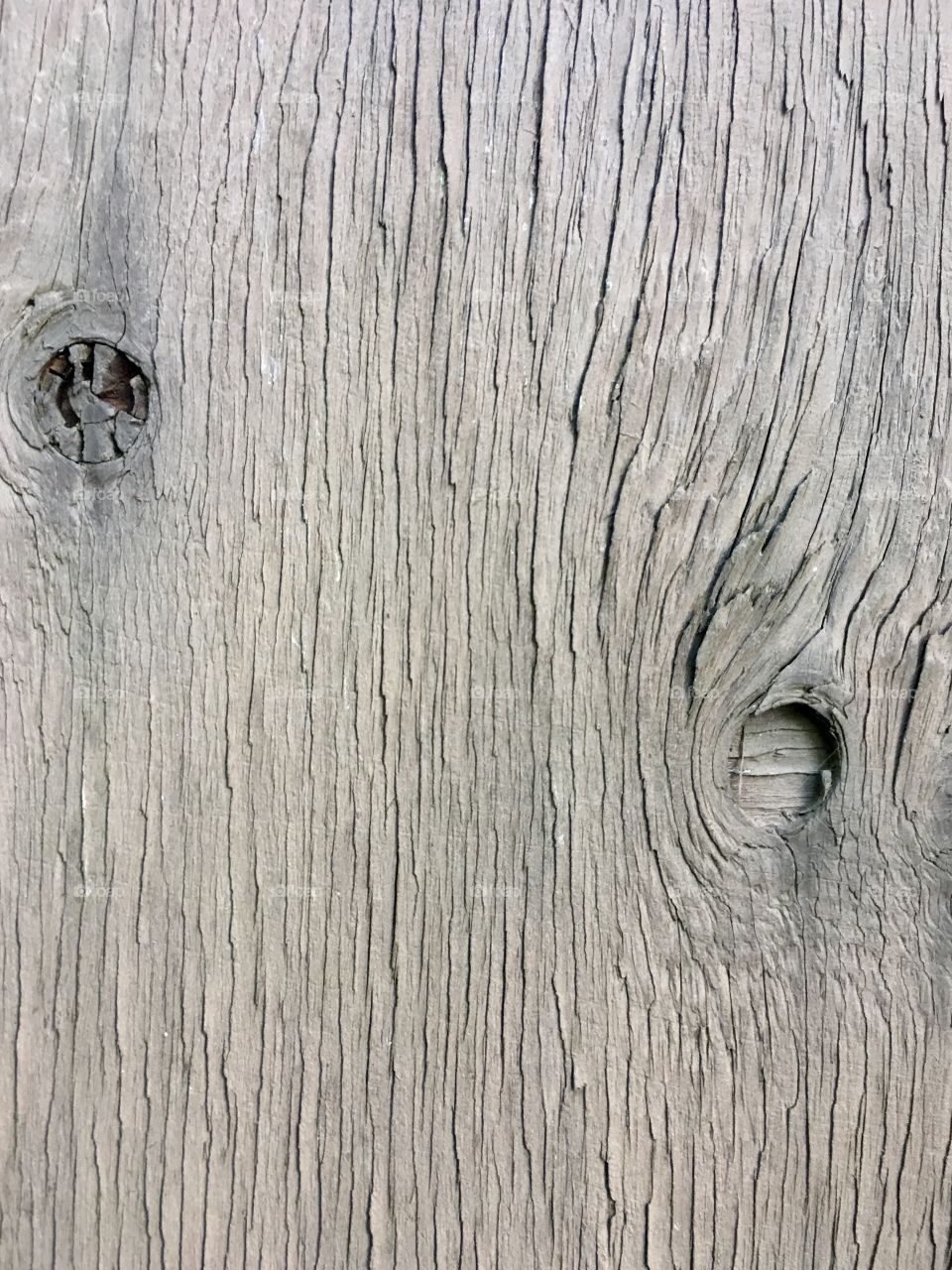 Wood texture, close up old wall