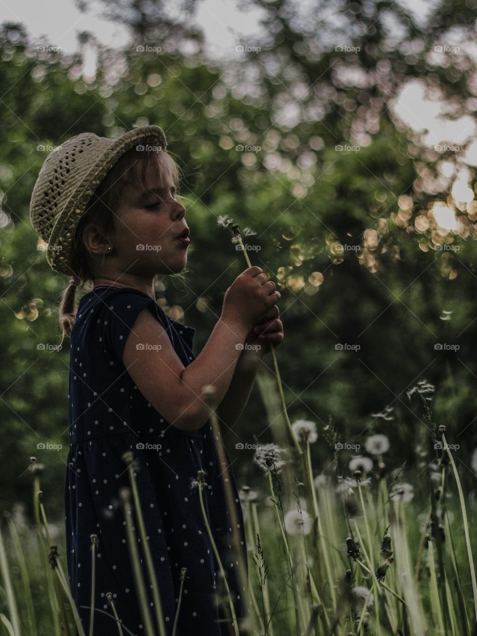 little girl blowing dandelion