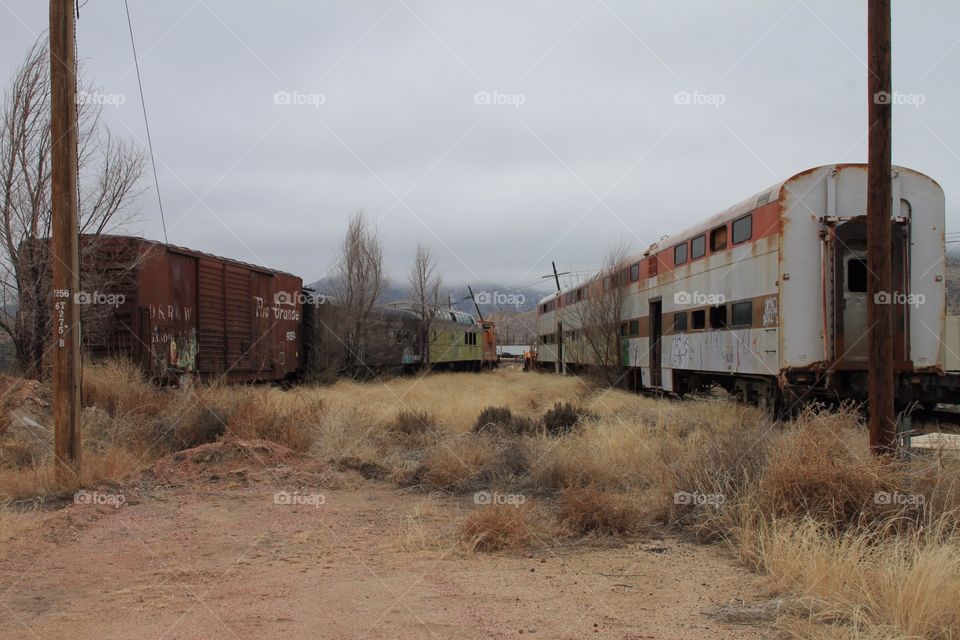 Abandoned railway cars