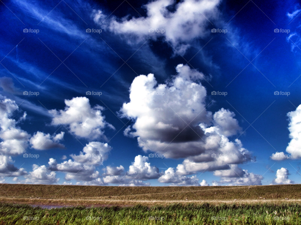 landscape grass field fluffy by carolien007