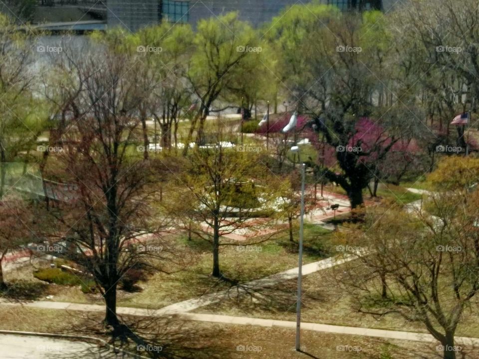 A view of the park