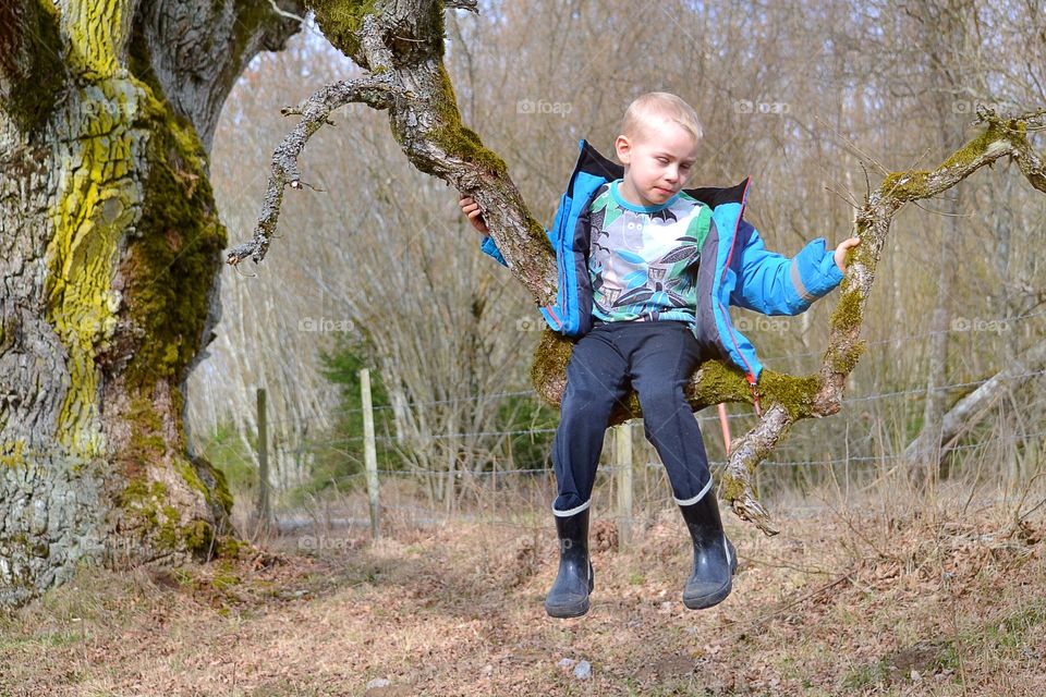 Boy sitting on a tree branch