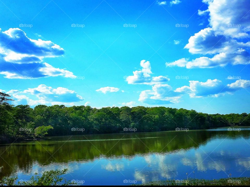 Reflection of trees and clouds on lake