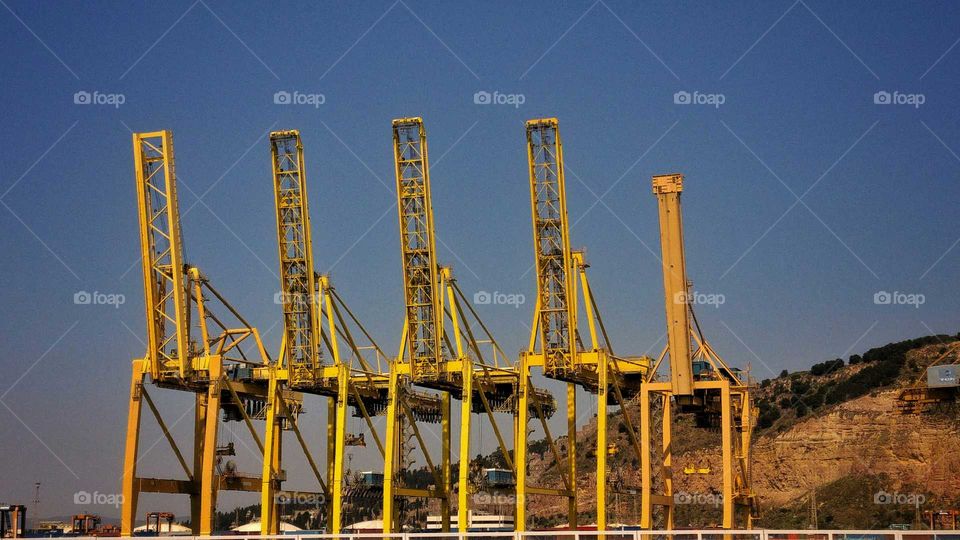 Cranes in the harbor