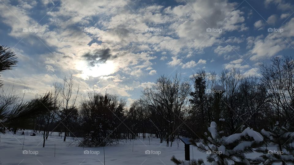 winter landscape with angel in the sky