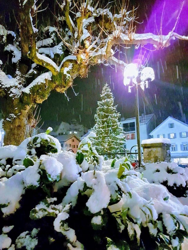 Christmas Tree in the night snow 