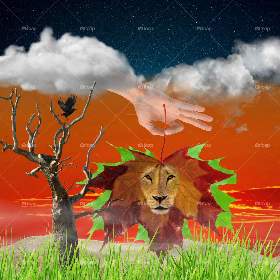 Reaching out a heartloving hand