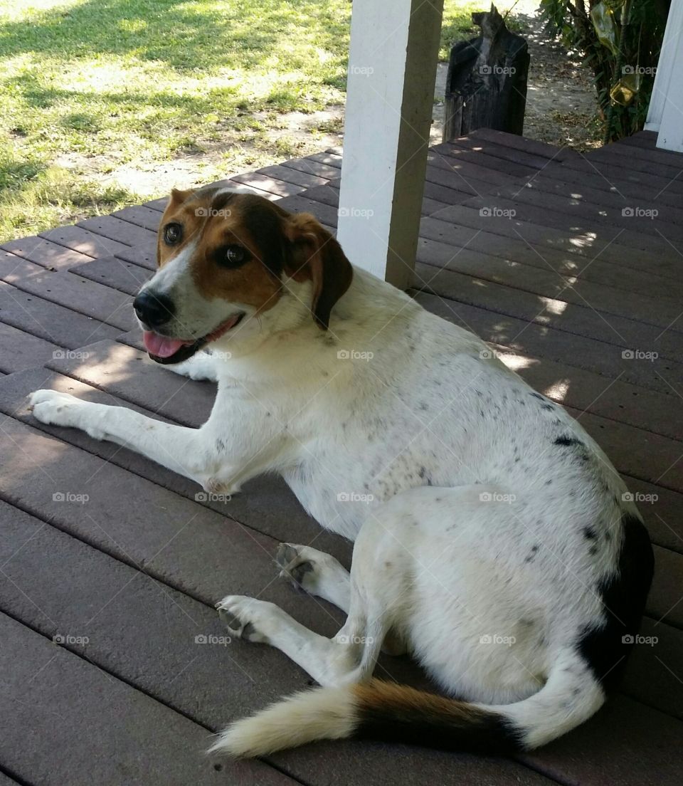 Porch Smile