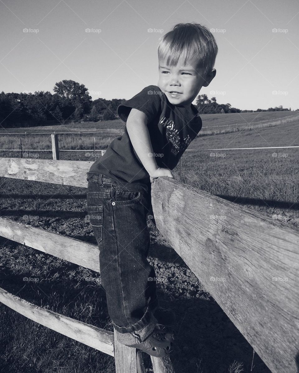 Young boy climbing farmyard fence