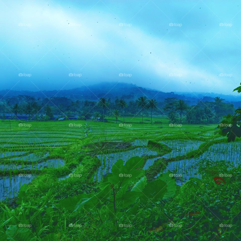 Nice view of the peswahan and surroundings