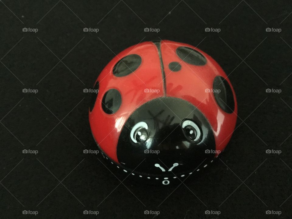 Ladybird timer straight on