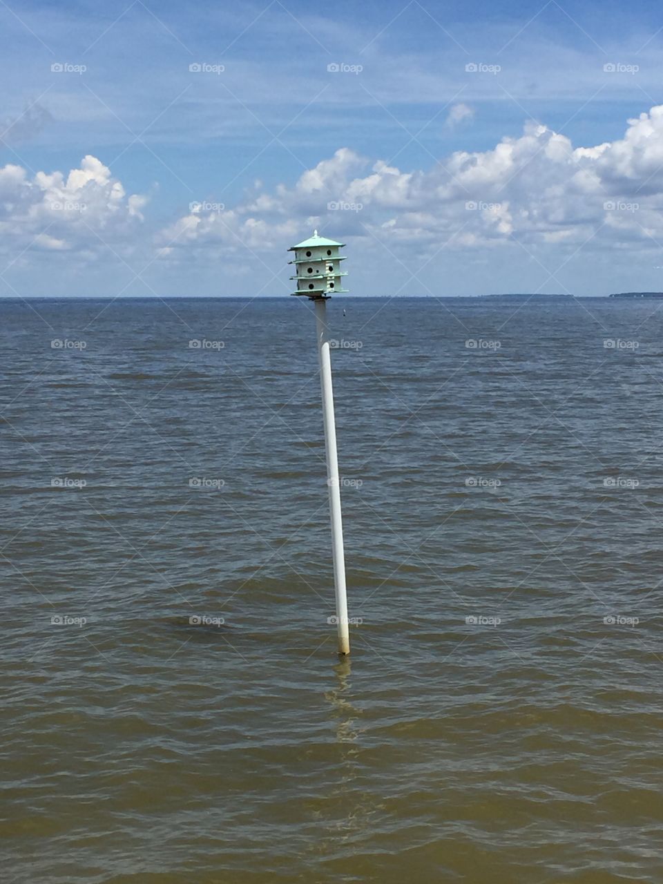 Bird house in the water