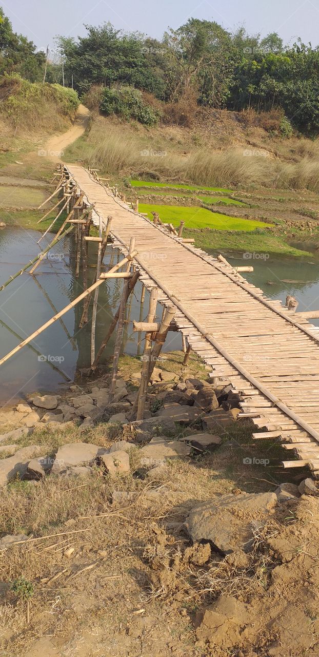 bamboo bridges