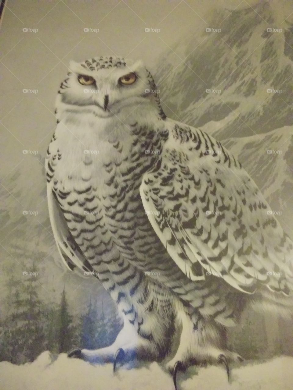 Wild snow owl