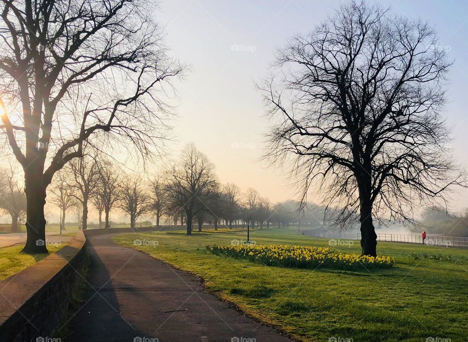 English summer morning 