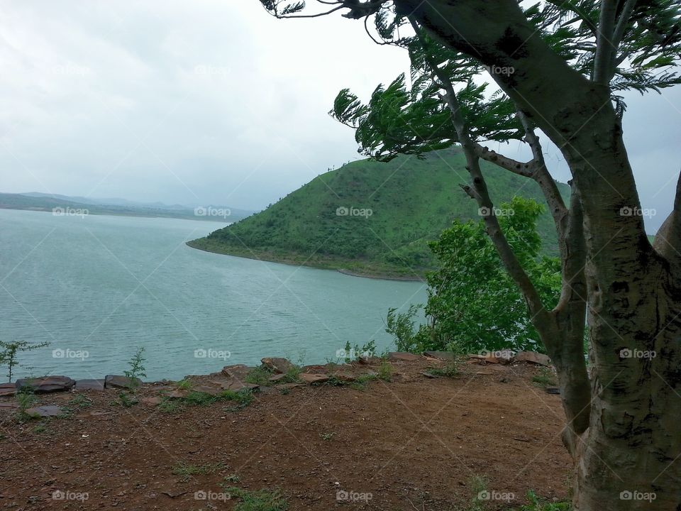 natural nature. beautiful  nature  captured by me