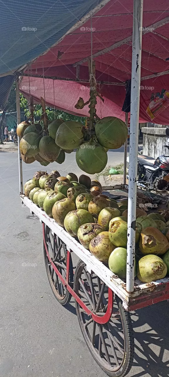 Green Coconut