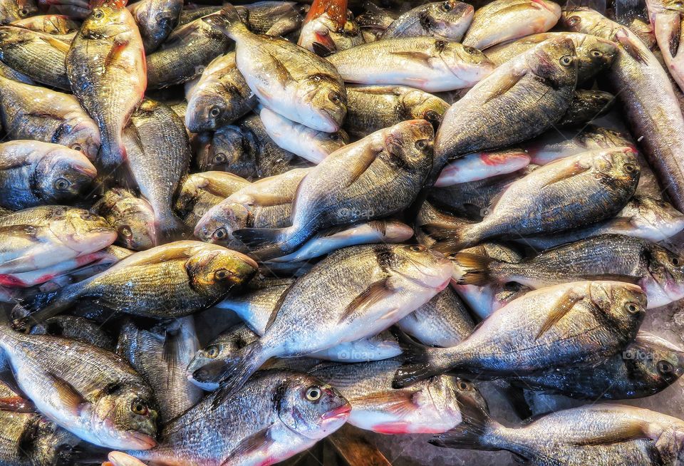 Athens central market fish stall