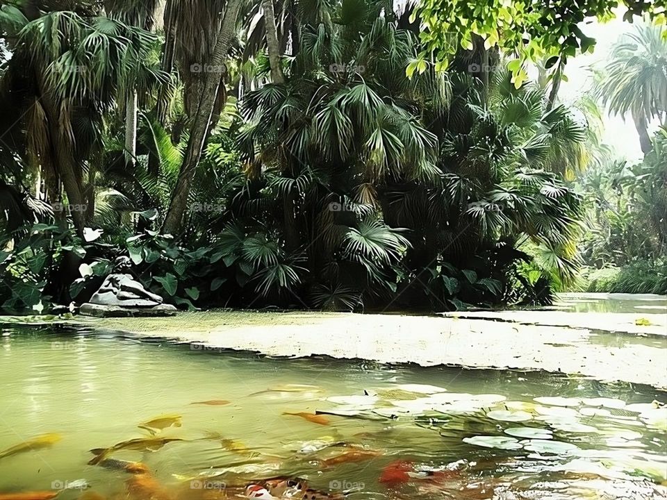 Hamma Park, located in Algiers, Algeria, is a historical botanical garden known for its diverse plant species and serene