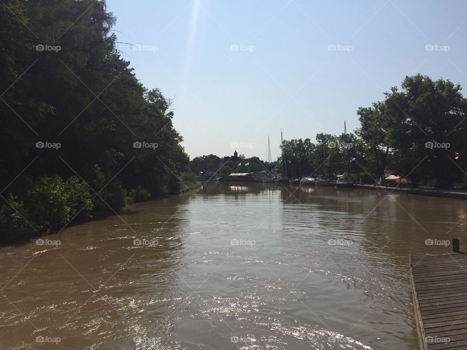 Water, Tree, River, Lake, Flood