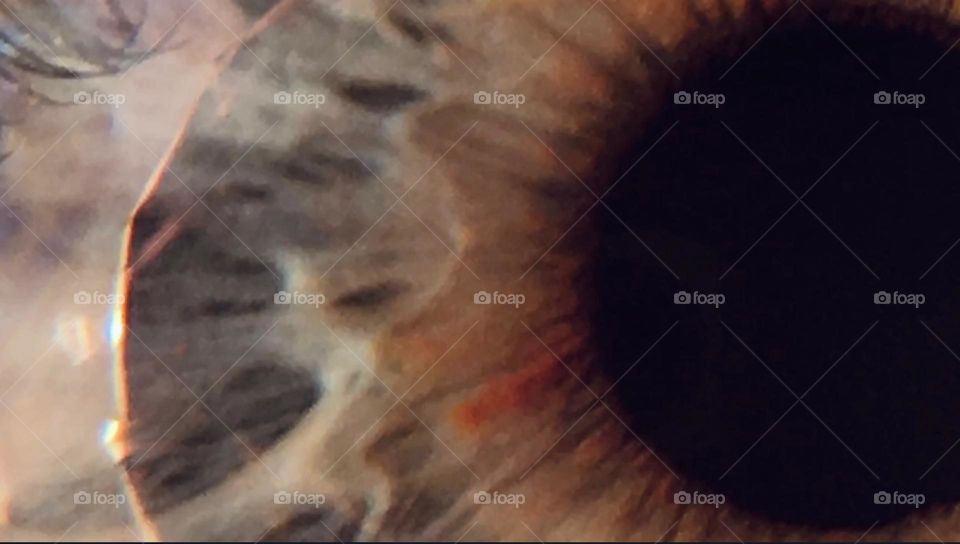 Timothy’s blue iris & pupil at 1200 x magnification of a microscope camera showing the multifaceted patterning w extreme & amazing detail. The edge of the pupil is no longer smooth but appears feathered at this close up. 2017. Hypnotic Productions