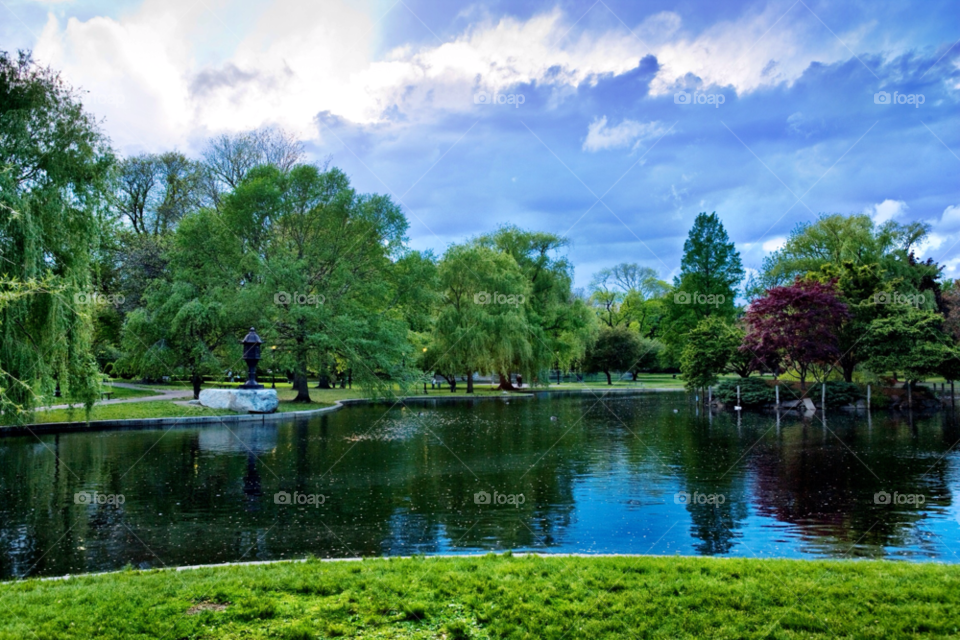 boston spring outdoors photography by jmsilva59