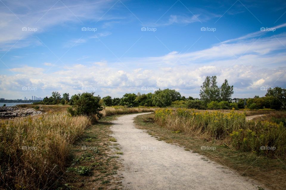 Road in a countryside