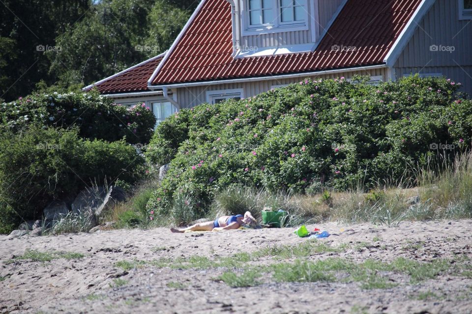 House by the beach 