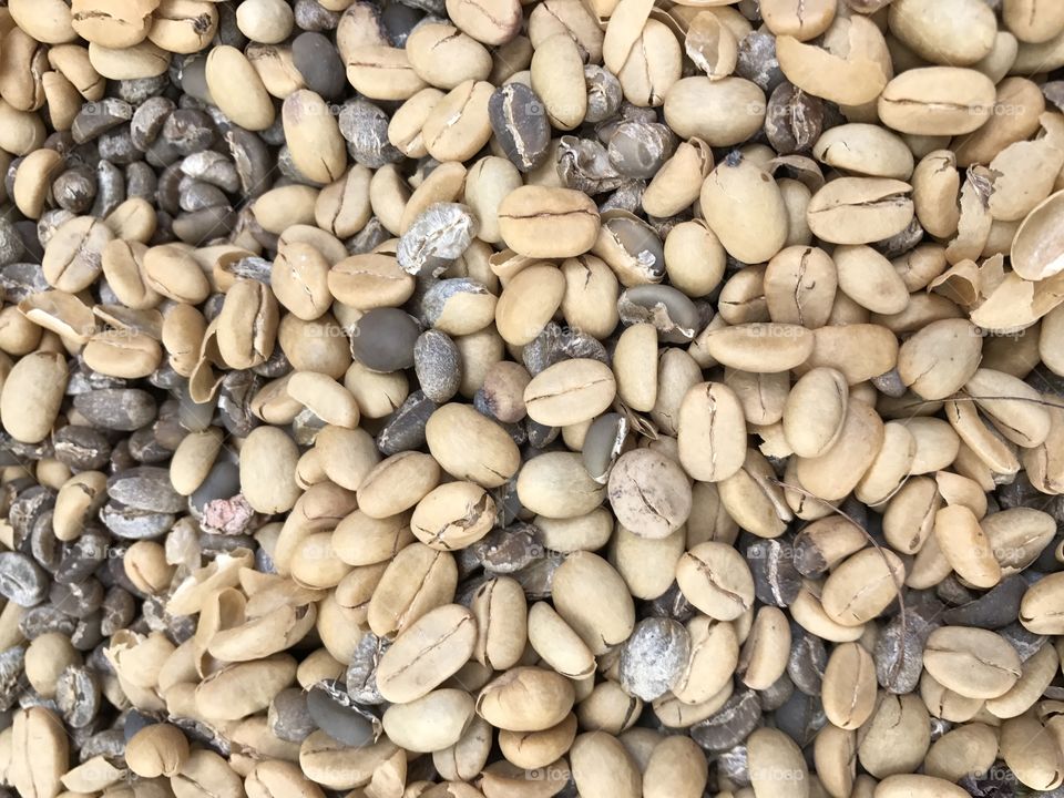 Coffee bean texture