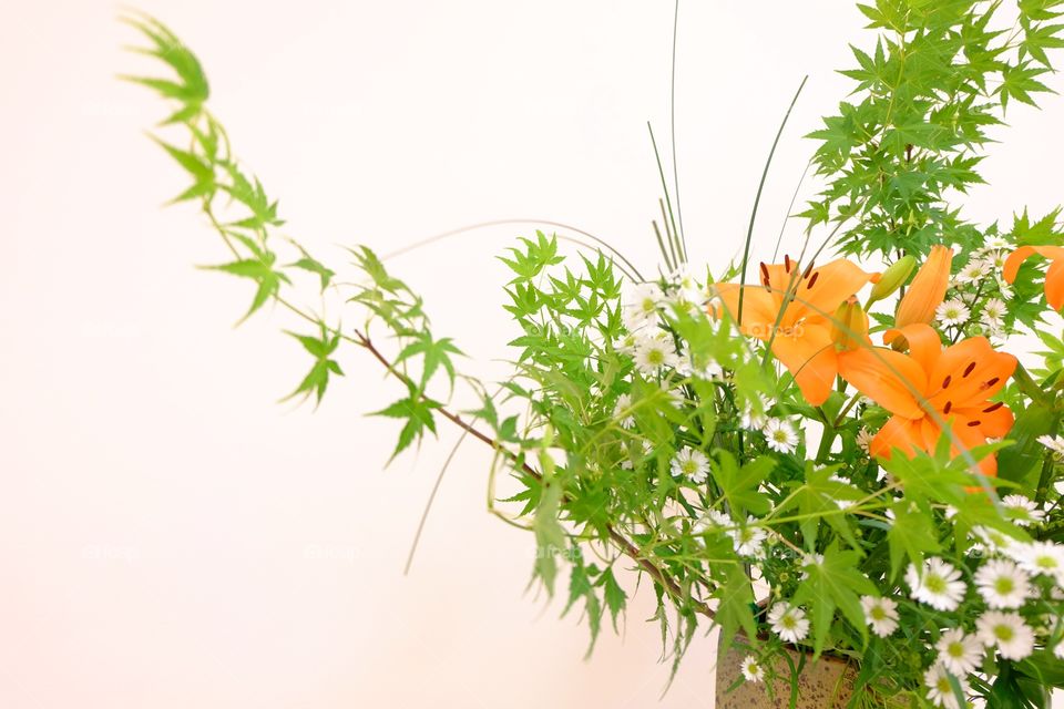 Bright floral arrangement, orange and white flowers