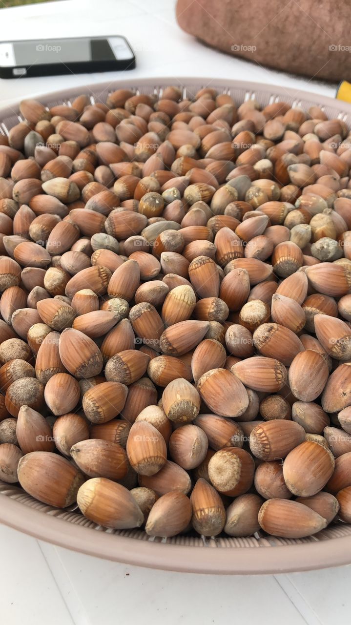 Hazelnuts 