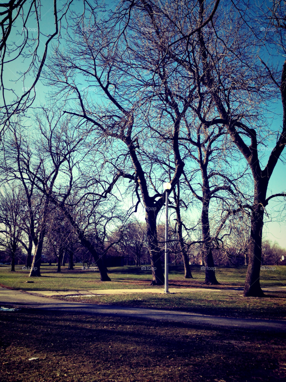 snow winter light blue by squishypie