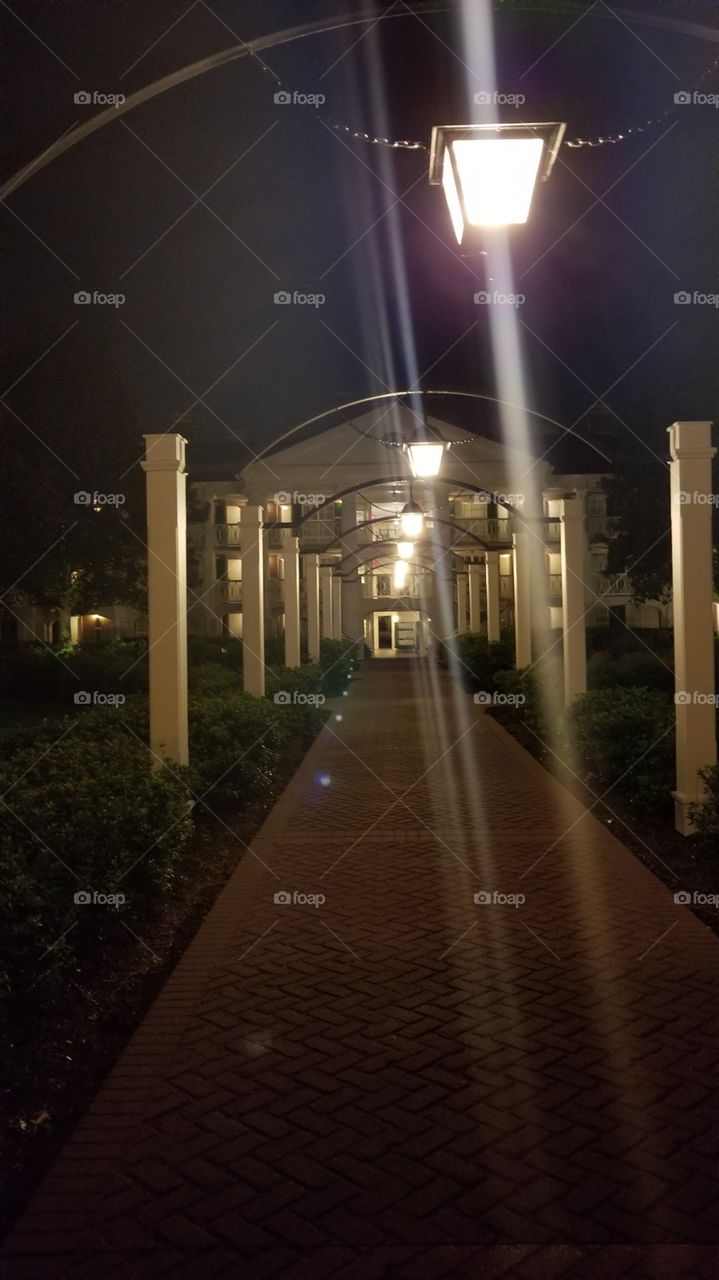 Beauty In The Shadows